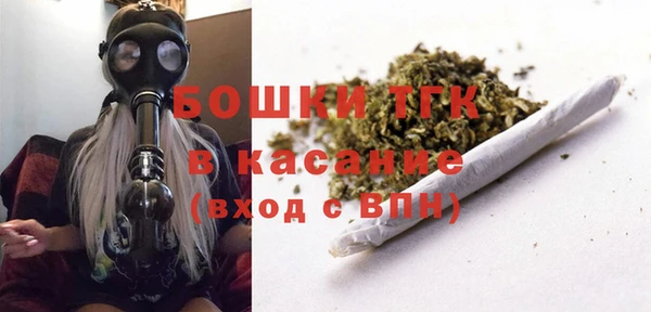 шишки Абаза