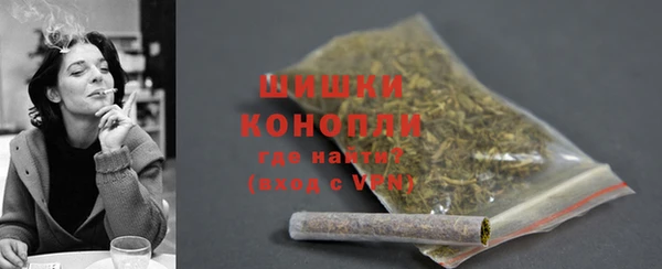 шишки Абаза