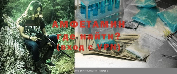 шишки Абаза