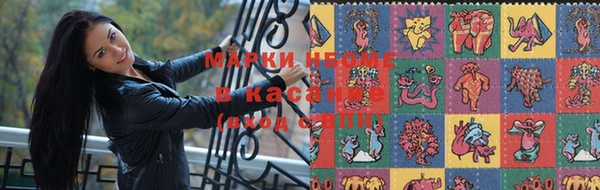 шишки Абаза