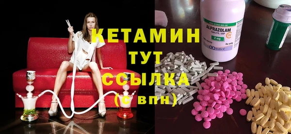 шишки Абаза