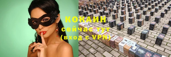 шишки Абаза