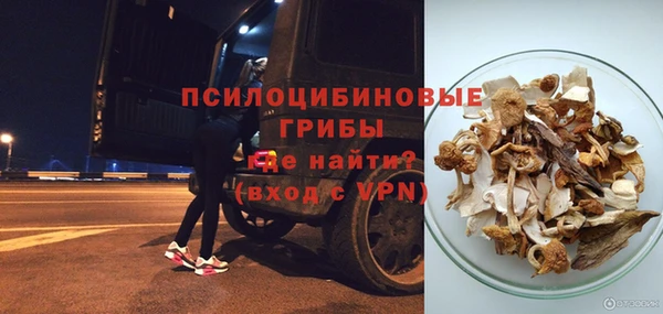 молекула духа Алексин