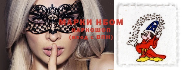 шишки Абаза