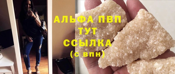 шишки Абаза