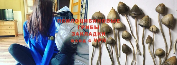 mdpv Абдулино