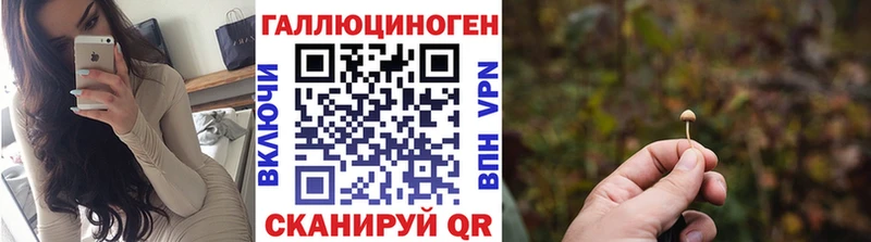 как найти   Нерехта  Псилоцибиновые грибы Magic Shrooms 
